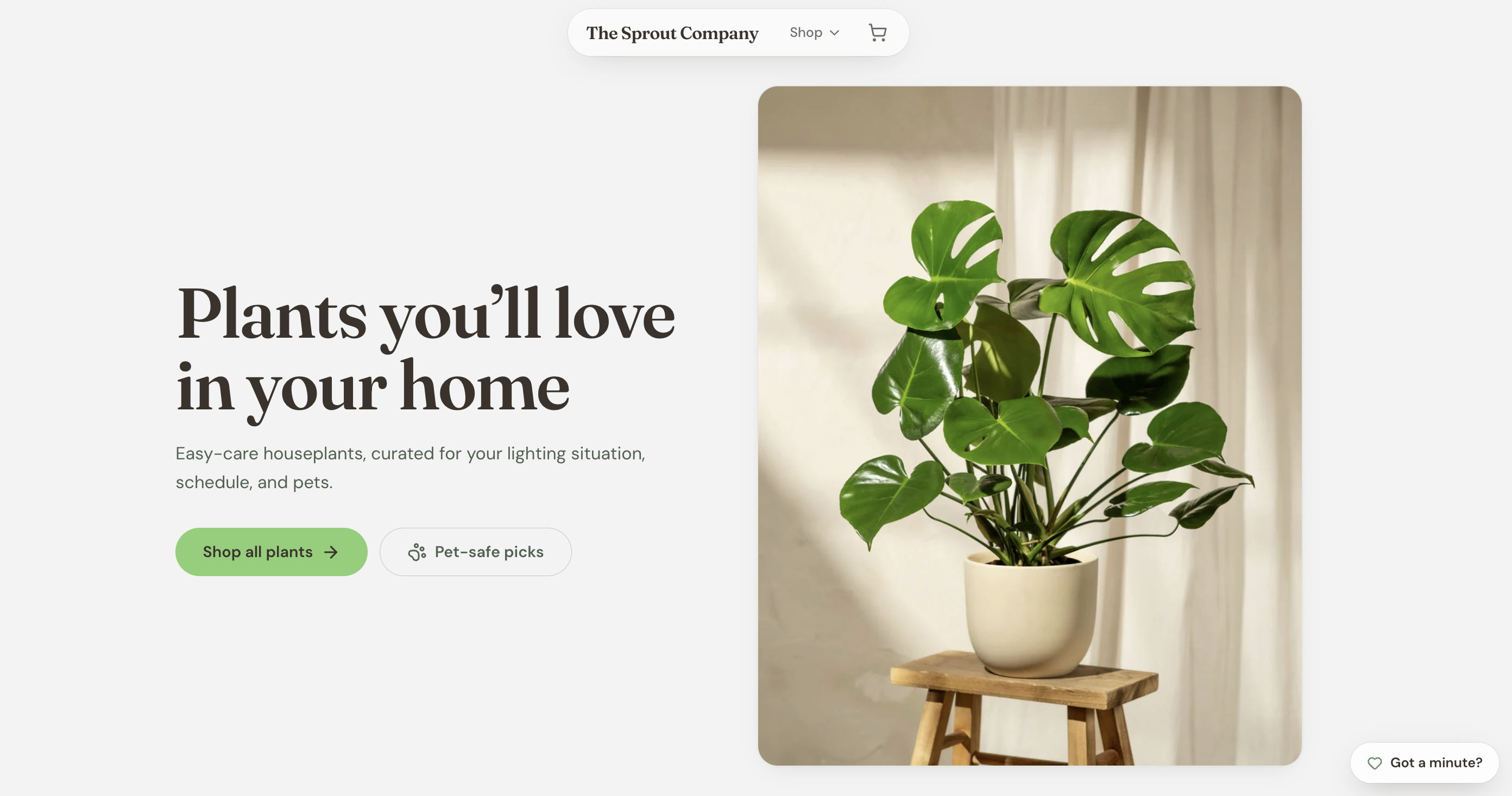 The Sprout Company: Plant Ecommerce Store